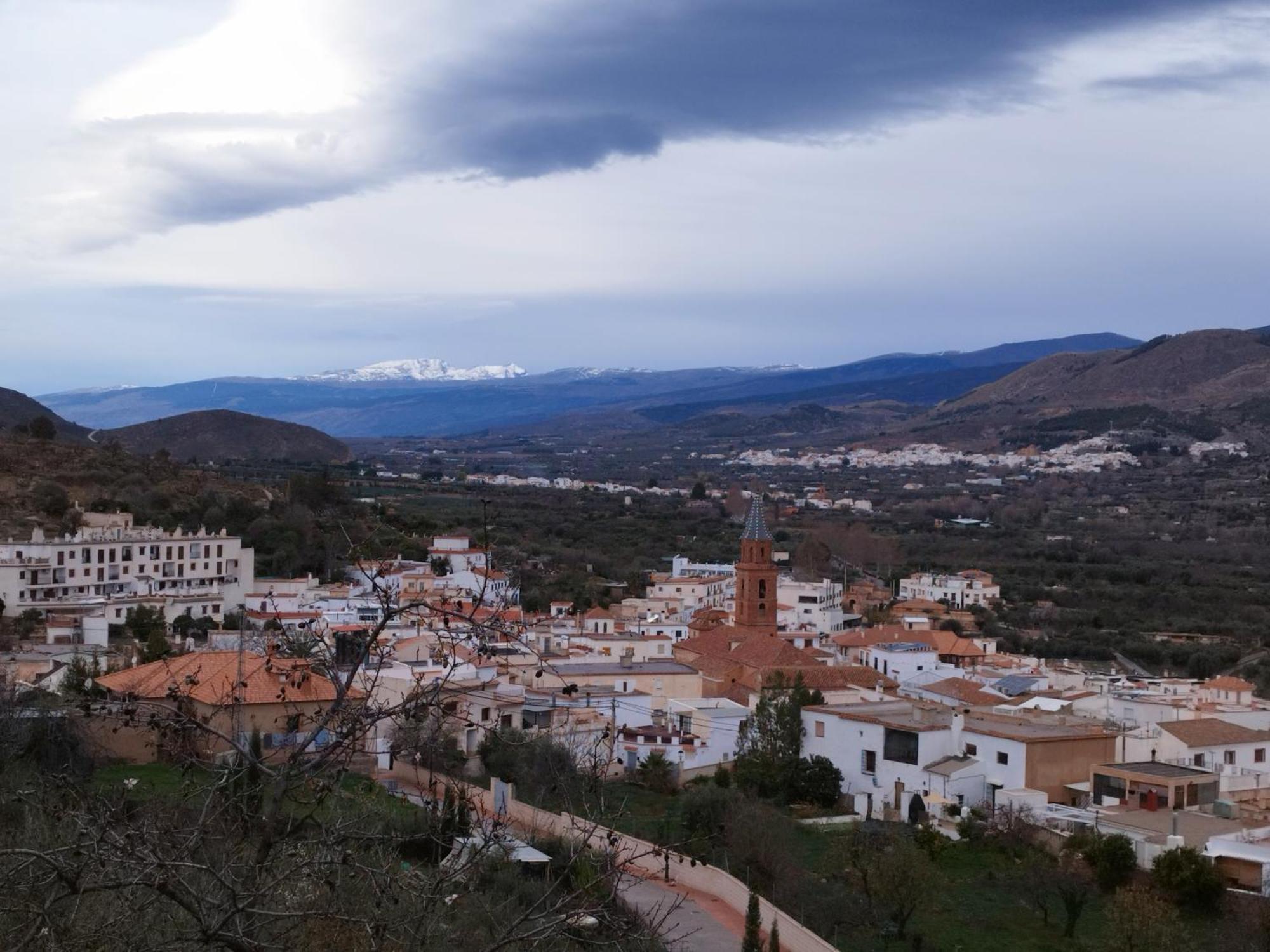 Olivos De Apartament