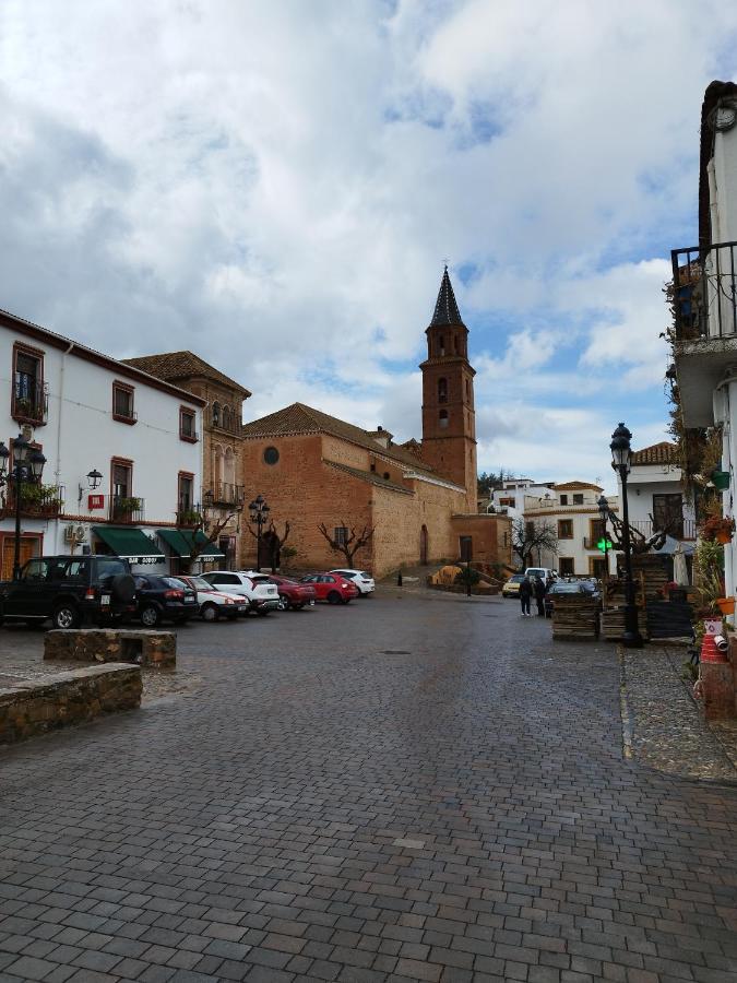Olivos De Apartment