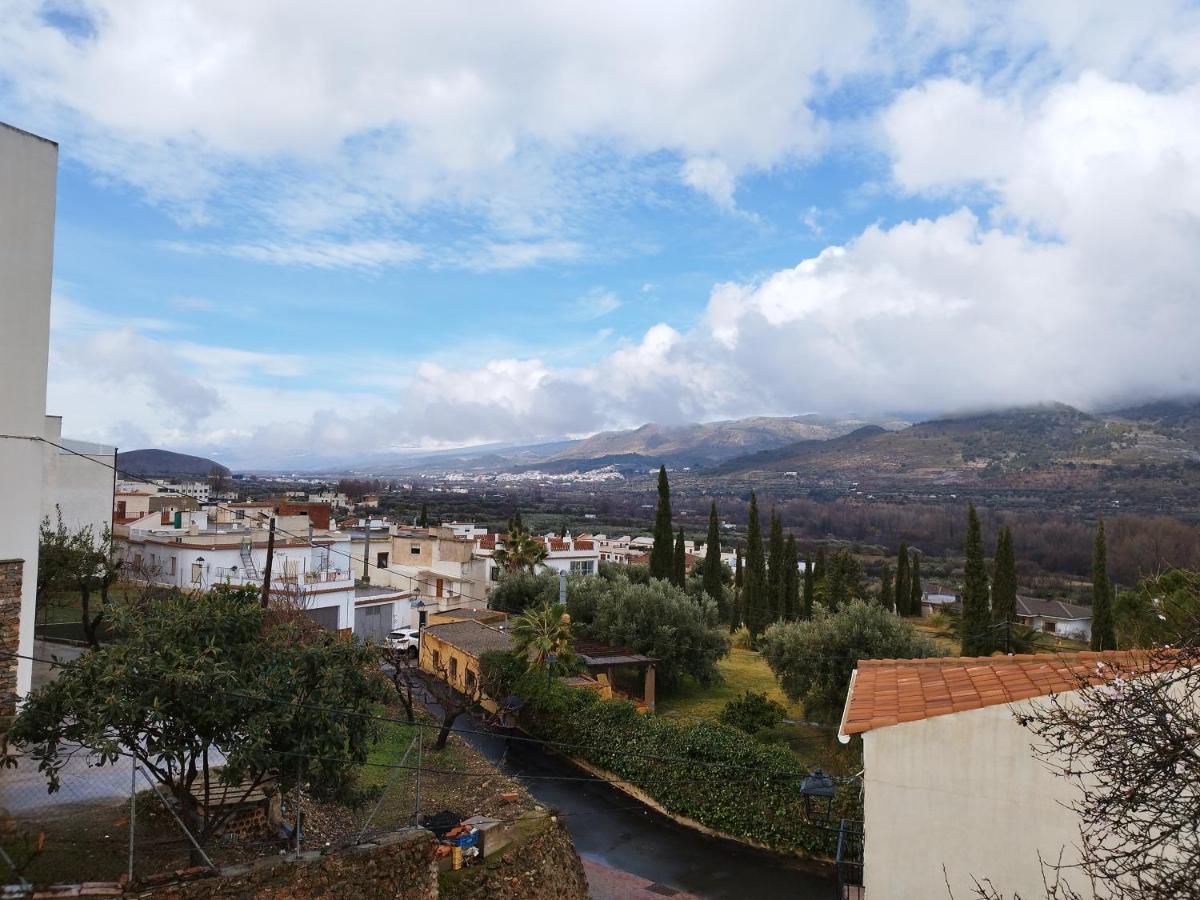 Olivos De *